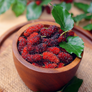 Mulberry